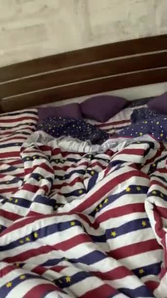 Шотландський Кіт Ховається Під Ковдрою Ліжку — стокове відео