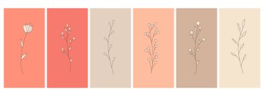 Soyut elementler, minimalist basit çiçek elementleri. Yapraklar ve çiçekler. Pastel renklerde sanat posterleri koleksiyonu. Sosyal ağlar, kartpostallar, baskılar için tasarım. Özet, satır, karalama biçimi. 