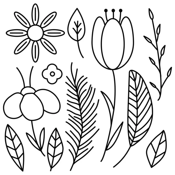 Ensemble Feuilles Botaniques Collection Plantes Fleurs Tropicales Icône Ligne Vectorielle — Image vectorielle