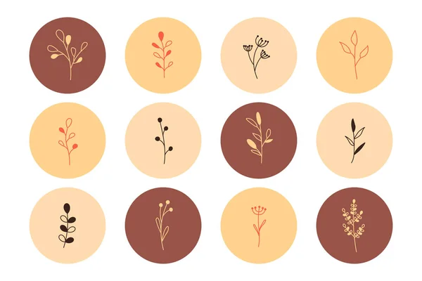 Plantes Fleurs Avec Des Feuilles Dans Style Simple Minimaliste Logo — Image vectorielle