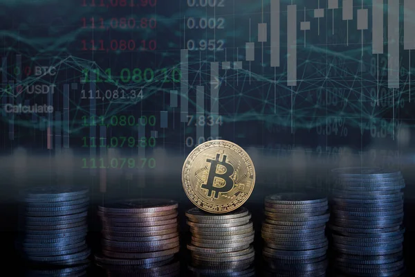 Bitcoin, arka planda piyasa grafikleri ve verileri ile istiflenmiş madeni paraların arasında yer alıyor ve bunun mali önemini vurguluyor.