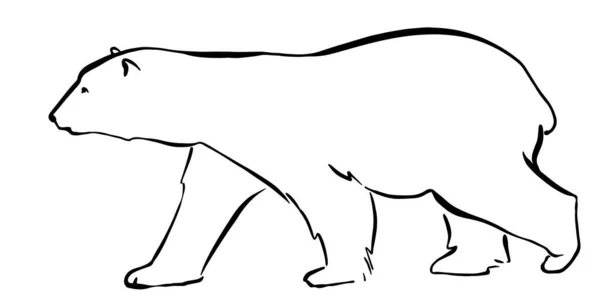 Белый медведь Ручная линия графический эскиз стиль изолирован на белом фоне — стоковый вектор