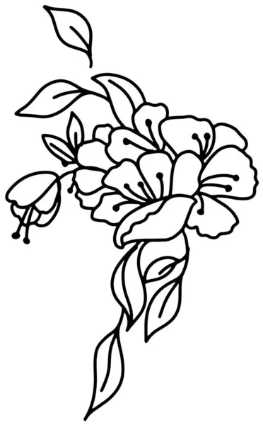 Ramo de flores de rosa mosqueta Esquema dibujo en blanco y negro — Vector de stock