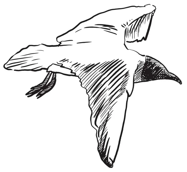 Flying Bird. Croquis de mouette dessiné à la main — Image vectorielle