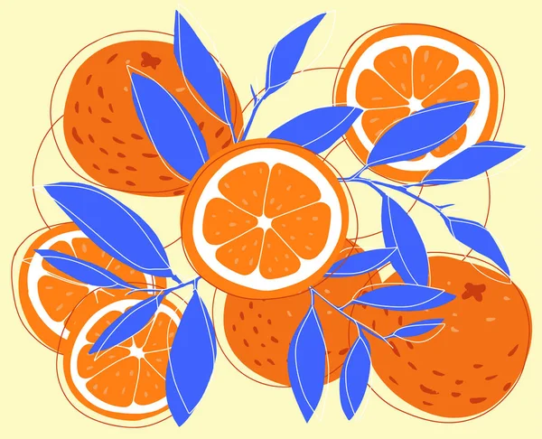 Πορτοκαλί και φέτα ζωγραφισμένα στο χέρι εικονογράφηση — Διανυσματικό Αρχείο