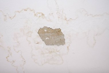 Hasarlı çatı yüzünden tavandaki yağmur suyu sızıntısı çürümeye, boyaya ve küflenmeye neden olur.