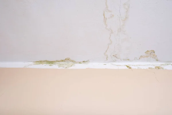 Regen water lekt op het plafond als gevolg van beschadigd dak waardoor verval, schilferende verf en beschimmeld — Stockfoto