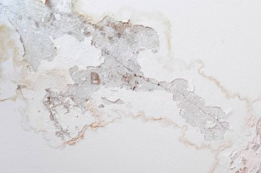 Hasarlı çatı yüzünden tavana yağmur damlaları akıyor. Çürümeye, boyaya ve küflenmeye neden oluyor. Hasarlı manzarayı kapatıyor.