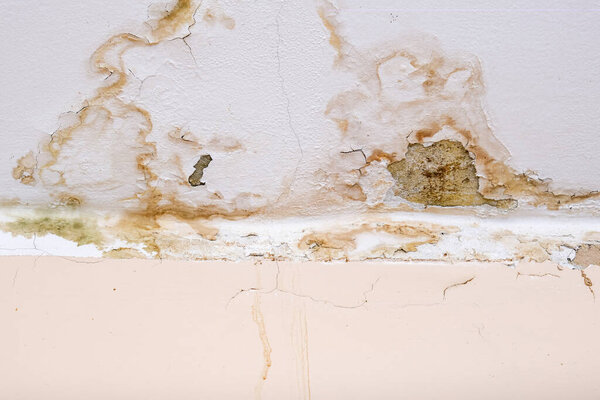 Rain water leaks on the ceiling because of damaged roof causing decay, peeling paint and moldy