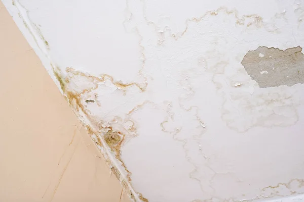 Fugas de agua de lluvia en el techo debido a daños en el techo causando descomposición, pelado de pintura y moho — Foto de Stock