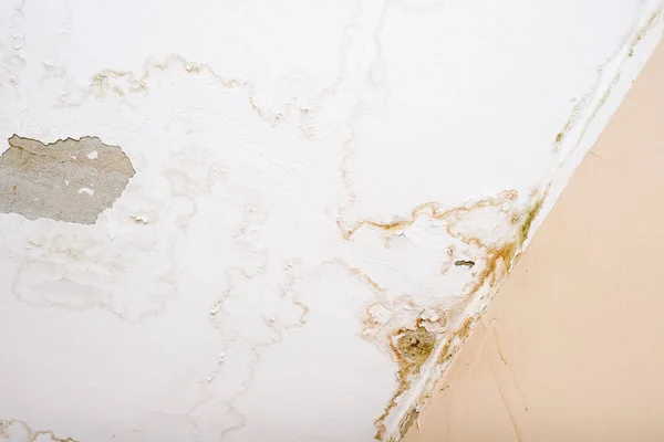 Fugas de agua de lluvia en el techo debido a daños en el techo causando descomposición, pelado de pintura y moho — Foto de Stock