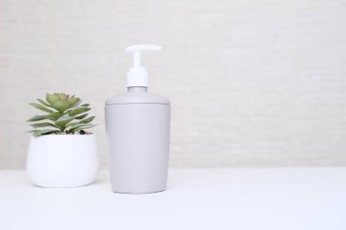 Gri sabun makinesi ve spa, vücut ve yüz bakımı için saksı bitkisi. Pastel renklerde, fotokopi alanı olan banyo içi.