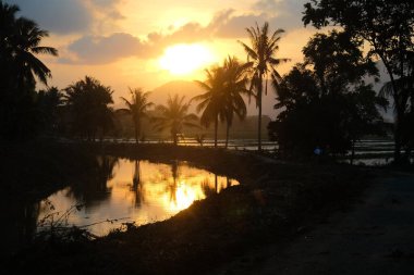 Palmiye ağaçları ve nehir üzerinde altın gün batımı, suya yansıyan canlı güneş ışığı, huzurlu bir tropikal akşam manzarası yaratıyor..