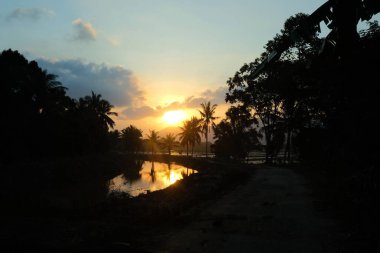 Gün batımı ışığı, sakin bir Malezya manzarasındaki sakin suya yansıyan palmiye ağacı siluetleriyle kırsal bir nehrin üzerinde parlıyor..