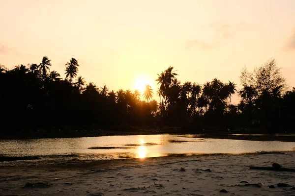 Siluetli tropikal palmiye ağaçlarının üzerinde altın gün batımı kumlu sahildeki sakin bir nehre yansıyor ve huzurlu bir akşam manzarası yaratıyor..