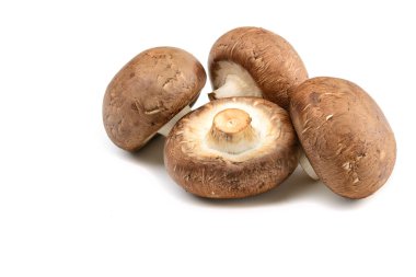 Şampiyon. Kraliyet mantar şampiyonları, yakın plan, beyaz arka planda izole edilmiş..