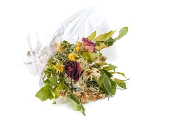 Beyaz arkaplanda izole edilmiş kurumuş çiçek buketi, yatay görüş, yakın plan