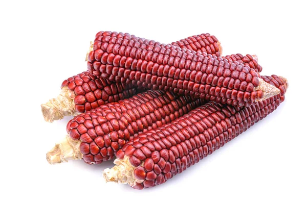 Red Corn Isolated White Background Cobs Ruby Queen Red Sweet — Stock Photo, Image