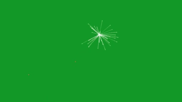 Fuochi Artificio Sullo Sfondo Dello Schermo Verde — Video Stock