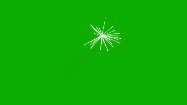 Fuochi Artificio Sullo Sfondo Dello Schermo Verde — Video Stock