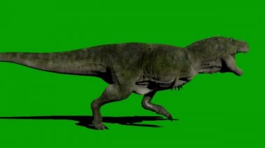 Tyrannosaurus rex Yeşil Ekran 'da çalışıyor