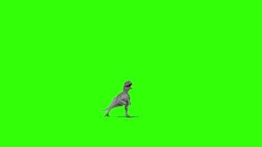 Tyrannosaurus rex Yeşil Ekranda Yürüyor