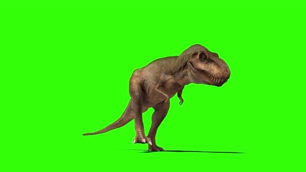 Tyrannosaurus Rex Brullend Groen Scherm — Stockvideo