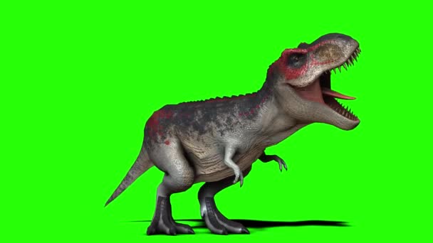 Tyrannosaurus Rex Brüllt Auf Grünem Bildschirm — Stockvideo