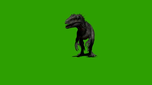 Tyrannosaurus Rex Caminando Pantalla Verde — Vídeos de Stock