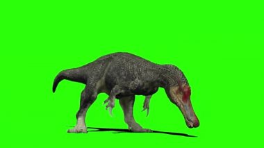 Yeşil Ekranda Baryonyx Dinozor Kükremesi