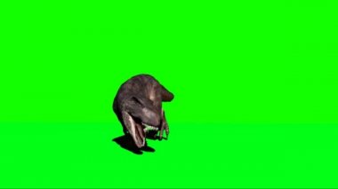 Giganotosaurus Dinozor Kükremesi Yeşil Ekran 'da