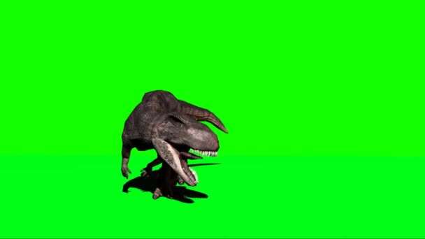 Giganotosaurus Dinosaurus Brullend Groen Scherm — Stockvideo