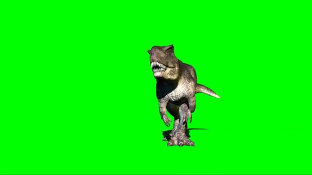 Giganotosaurus Dinosaurie Walking Grön Skärm — Stockvideo