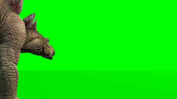 スティラコサウルスストック動画 ロイヤリティフリースティラコサウルス動画 Depositphotos