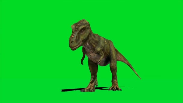 1 313 Tyrannosaurus Rex Stock Videos Royalty Free Tyrannosaurus Rex Footage Depositphotos