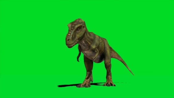 Tyrannosaurus Rex Brüllt Auf Grünem Bildschirm — Stockvideo