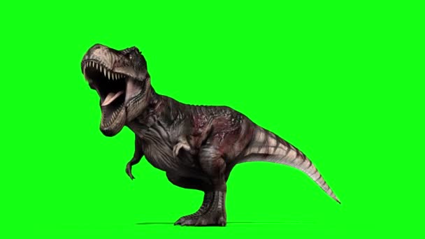 Tyrannosaurus Rex Brullend Groen Scherm — Stockvideo