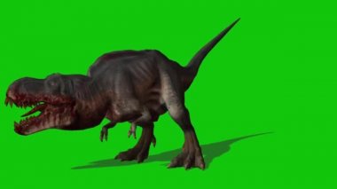 Tyrannosaurus rex Yeşil Ekran 'da kükrüyor