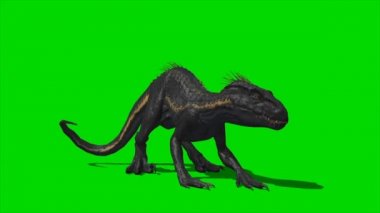 Yeşil Ekran 'da Velociraptor Dinozor Kükremesi