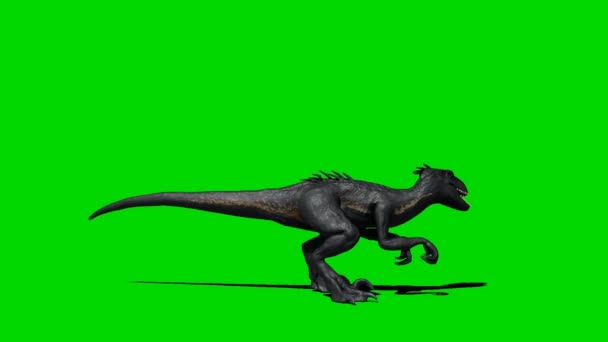 Velociraptor Dinossauro Rugindo Tela Verde — Vídeo de Stock