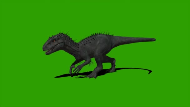 Velociraptor Dinosaurus Loopt Groen Scherm — Stockvideo