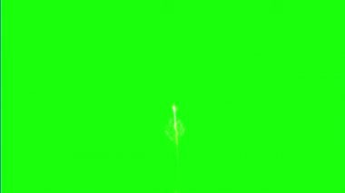 Yeşil Ekran Arkaplanındaki Havai fişekler