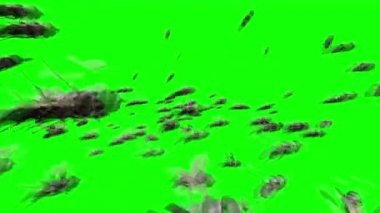 Yeşil Ekranda Uçan Sinek Sürüsü