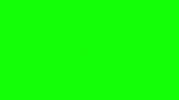 Latanie Zielonym Ekranie — Wideo stockowe