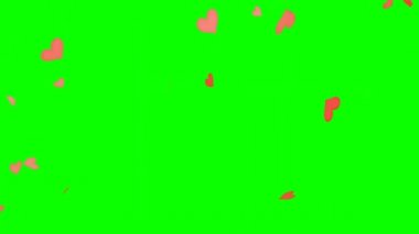 Konfeti Yeşil Ekrana Düşüyor