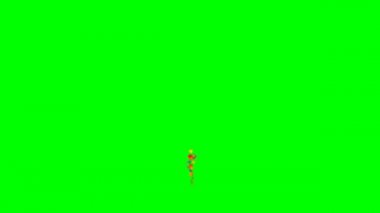 Konfeti Yeşil Ekrana Düşüyor