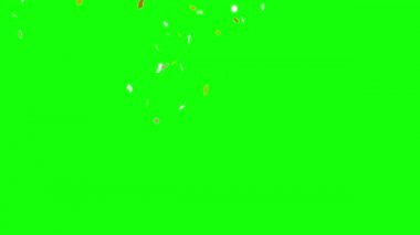 Konfeti Yeşil Ekrana Düşüyor