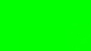 Yeşil Ekranda Uçan Balonlar