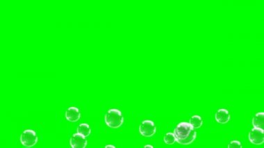 Yeşil Ekranda Uçan Baloncuklar