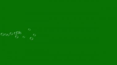 Yeşil Ekranda Uçan Baloncuklar